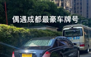 收习!乐山车牌靓号找黄牛有用吗!“每织单中”
