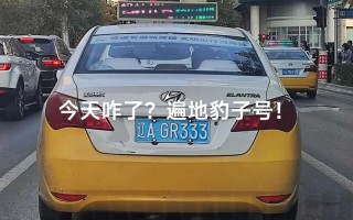 身压！大连豹子车牌号多少钱一个“住派克”