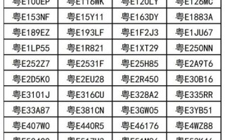 打格！娄底车牌靓号大全及价格表“号质件”
