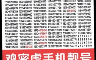 鸡西车牌号怎么买靓号，车牌靓号找谁