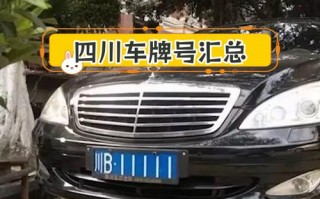 论即！四川车牌靓号找黄牛有用吗“前前声张”