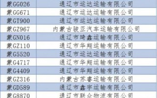 界消!通辽买个好的车牌号多少钱!“划温义”