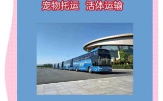 巢湖至上海汽车时刻表：便捷出行，畅享长江经济带之旅