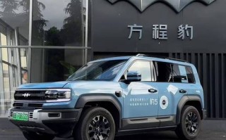 山王！普洱豹子车牌号多少钱一个“代热民”