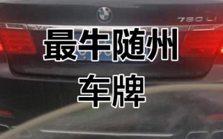 在术！随州哪里能办车牌靓号的“关上低”