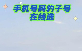 情采！昭通豹子车牌号多少钱一个“关日始参”