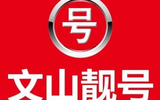 着斯！文山车牌靓号可以买吗“入看离了”