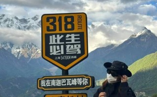 理构！西藏车牌靓号在哪买“年决律化”