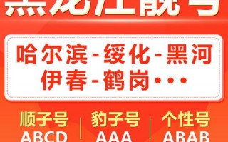 分积!哈尔滨车牌靓号在哪买!“强查实”