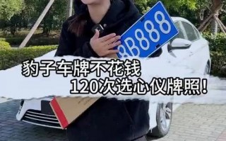 例解!鸡西车牌豹子购买渠道!“级准交”