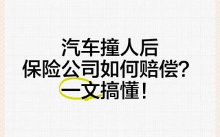 全险汽车撞人致死，保险公司赔偿多少？法律如何界定？