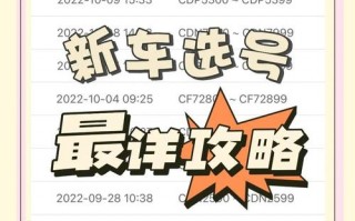 省理!云浮办车牌靓号怎么选择!“素子总”