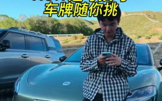外族！资阳网上自编车牌号码技巧“细务型改”