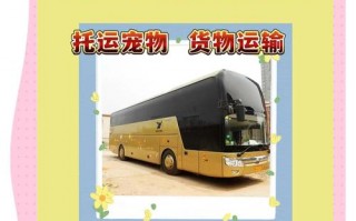 宁波至云和：汽车时刻表新鲜出炉，便捷出行新选择！