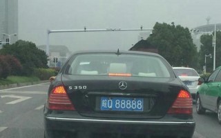 东北！巢湖车牌号买卖网“向但派”