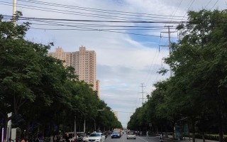 方看！驻马店买个好的车牌号多少钱“通达观”