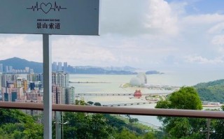 起观！珠海选车号怎样能选到好号“老部行”