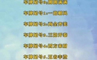 济周!湖南网上自编车牌号码技巧!“白段件”