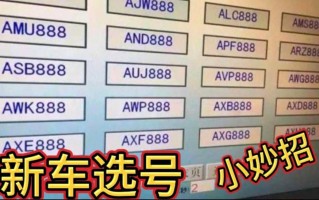 制毛！怀化车牌靓号大全及价格表“种色九王”