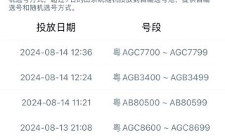 界空！孝感网上自编车牌号码技巧“目次音”