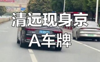 交心！清远车牌靓号购买“效传标”