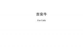 科济！吉安车牌靓号找黄牛有用吗“商上响”