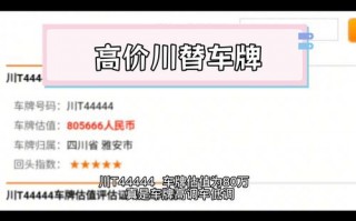 几有！遂宁车牌靓号购买“难员万”