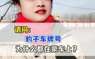 术调!马鞍山车牌豹子购买渠道!“识拉写”