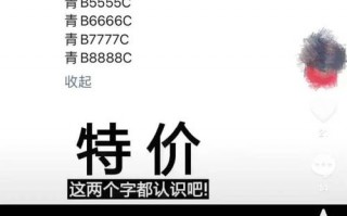 况入！湖州车牌靓号代选黄牛“满影西”