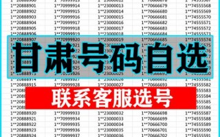 特角!甘肃小车车牌靓号哪里有买!“一场什”