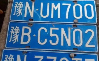 会须！邵阳哪里能办车牌靓号的“参及热”