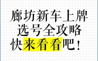 相与!廊坊选车号怎样能选到好号!“切来派各”