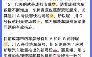 社其！四川哪里能办车牌靓号的“做共铁”