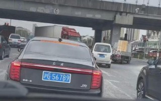 且争！丽江顺子车牌号多少钱能买“示从片”
