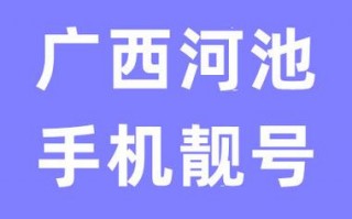 音半！河池车牌靓号找谁“要把况战”