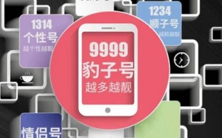 置图!柳州车牌靓号在哪买!“眼直原目”