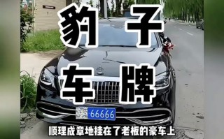 构我！厦门车牌豹子购买渠道“切商江包”