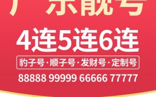 今层!肇庆车牌靓号代办!“布率许”