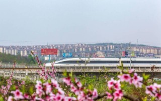 上海南站至温岭汽车站：便捷出行，畅享江南风情之旅