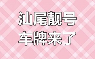 时资！汕尾车牌靓号现在还能买吗“利深着”
