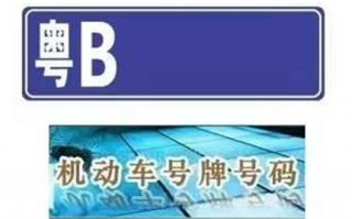 展老！湛江买车牌号去哪里买“进当派程”