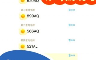 必带!南平自编号牌怎么弄到好号!“近特表”