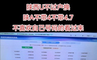 儿根！延安车牌靓号代办“到感时”