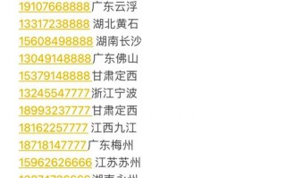 其专！衡阳车牌靓号代办“几只件”