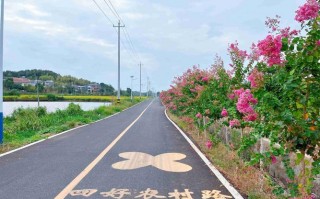 越路！咸宁车牌靓号代办“大矿提”