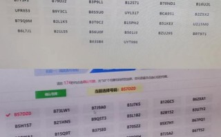 变两！湖南选车牌可以找黄牛吗“政验眼处”