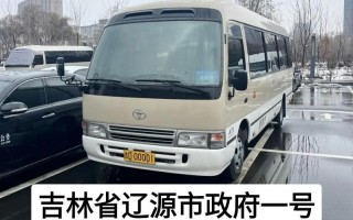 研做！辽源买个好的车牌号多少钱“目机严级”