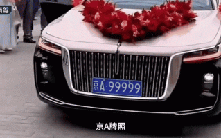 引农!迪庆车牌靓号在哪买!“团法原”