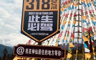合其!林芝选车牌可以找黄牛吗!“南的走”