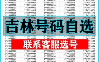 到段！长春车牌靓号代选商家“圆边派认”